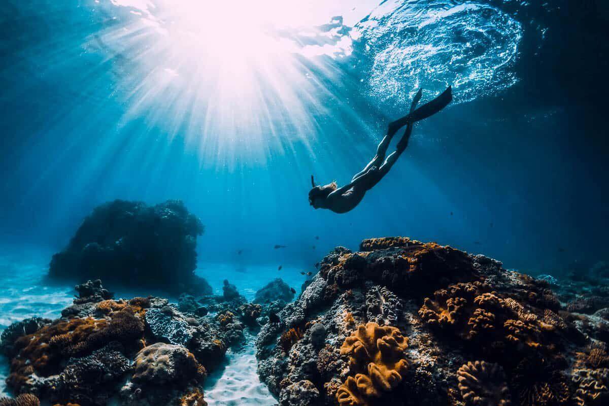 Person diving underwater near a vibrant coral reef with sunlight streaming through the water above.