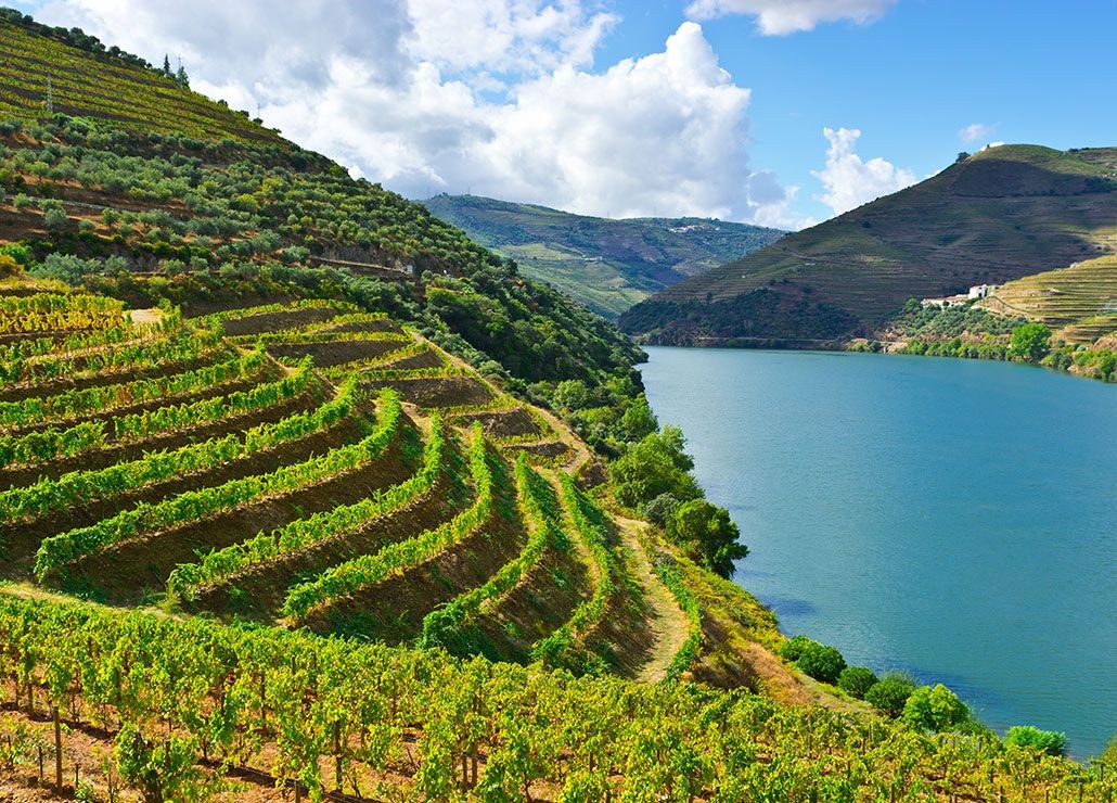 Terraced vineyards on green hills overlooking a calm river under a partly cloudy sky.