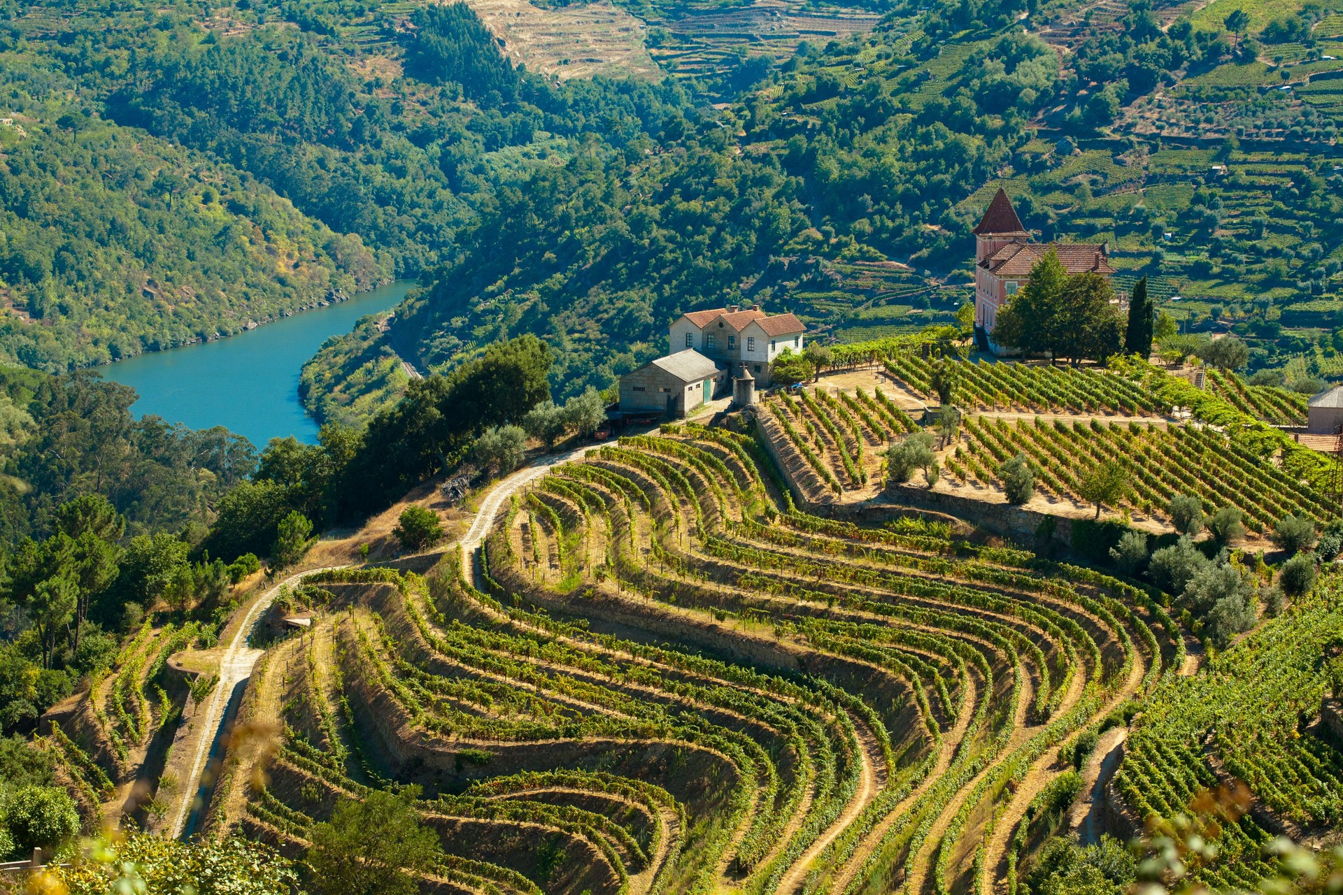 The Douro river